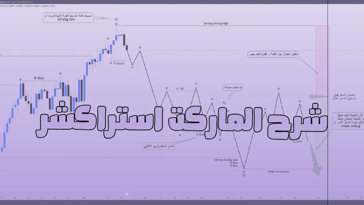 كيف تحدد الاتجاه الحقيقي للسوق مثل المحترفين