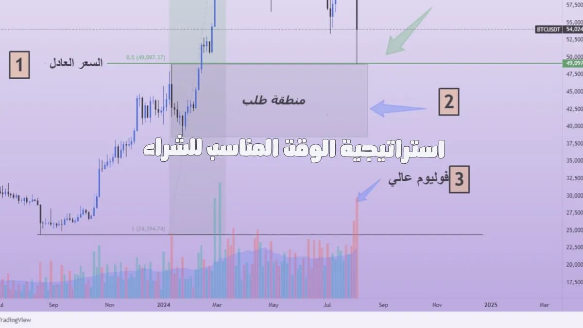 السعر العادل في البتكوين: الطريقة الذكية لمعرفة هل الوقت مناسب للشراء أم لا؟