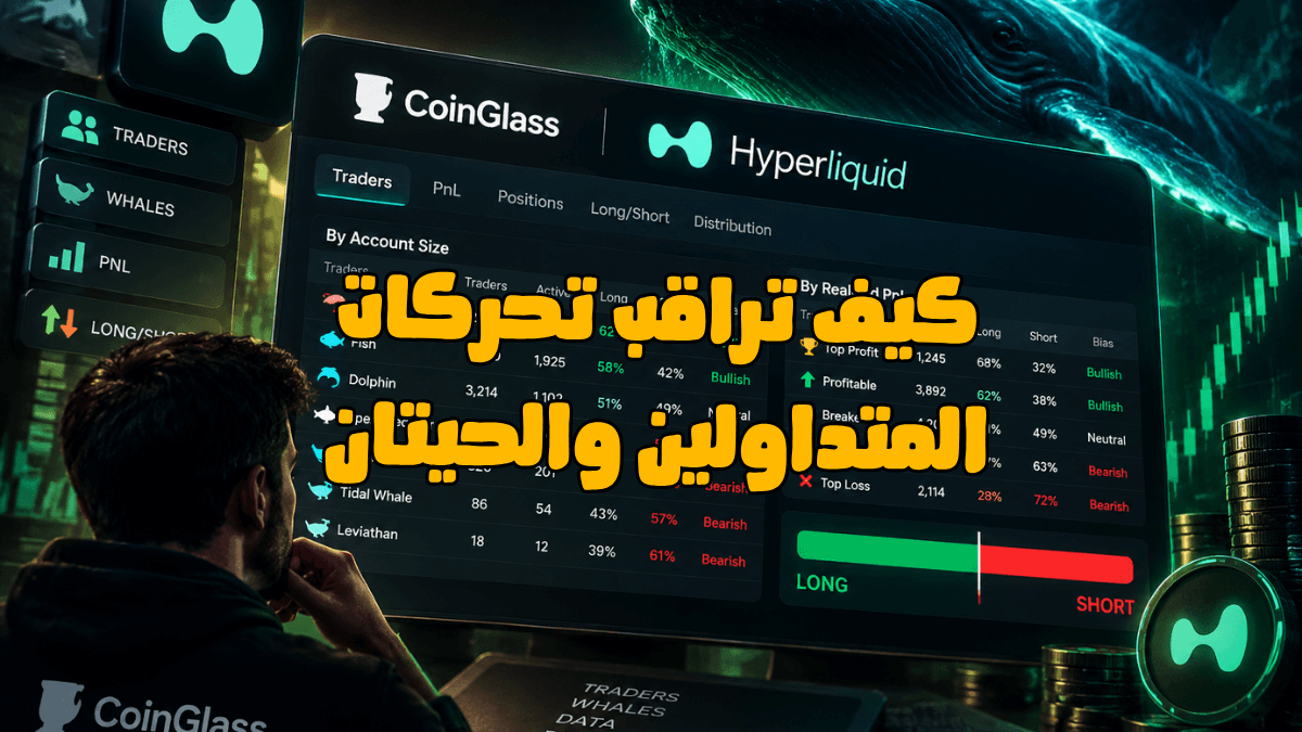 كيف تراقب تحركات المتداولين والحيتان على Hyperliquid